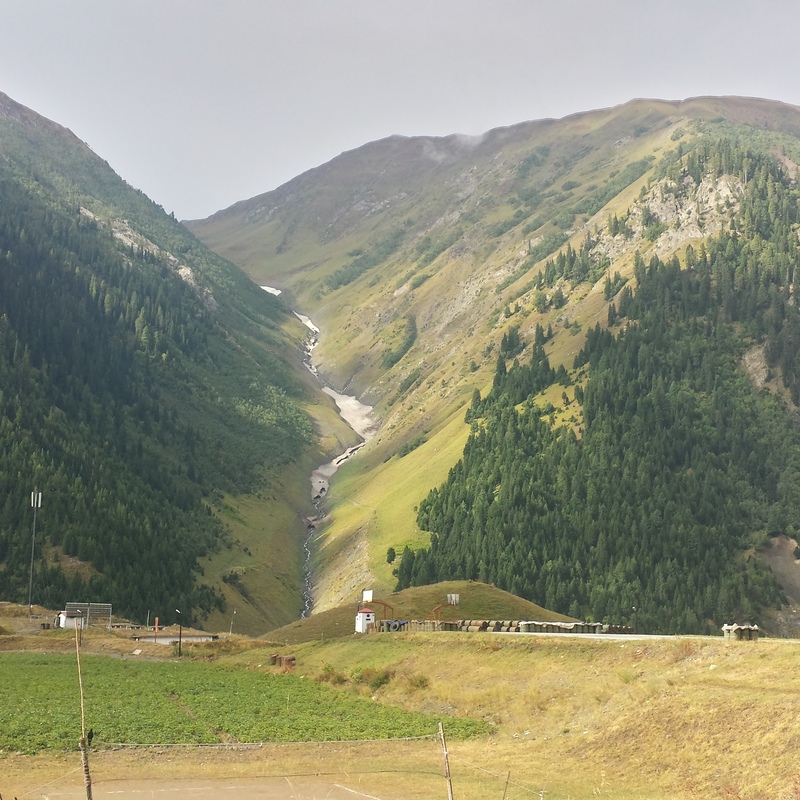 Minimarg, Astore