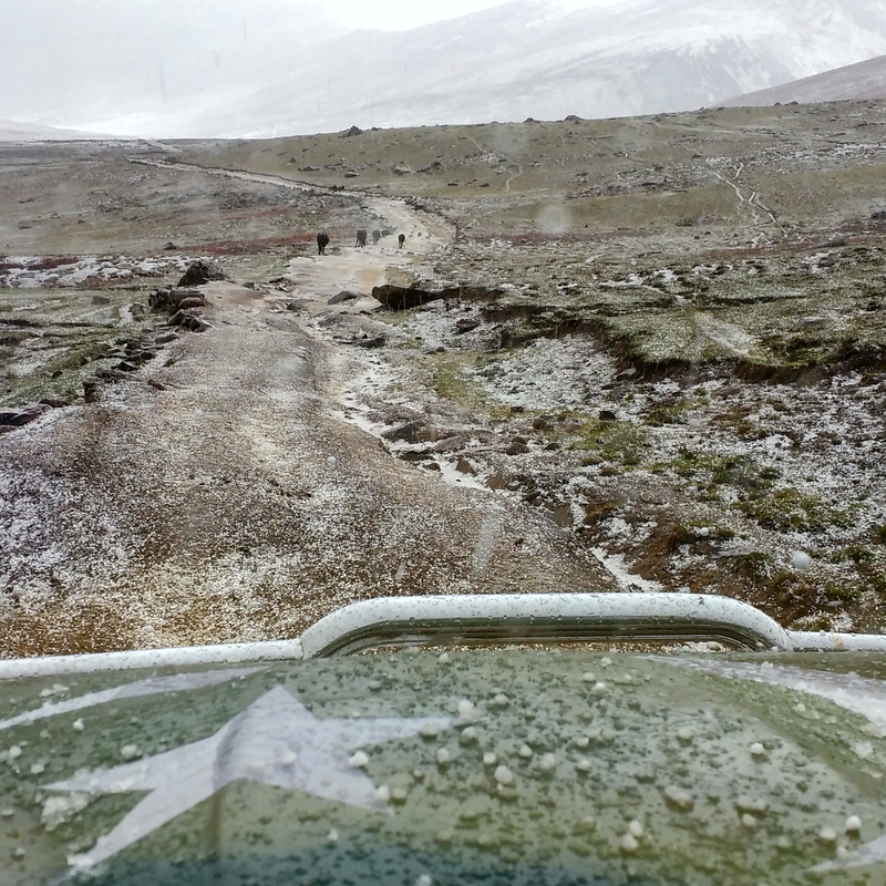 Gittidas Meadows, near Babusar Top