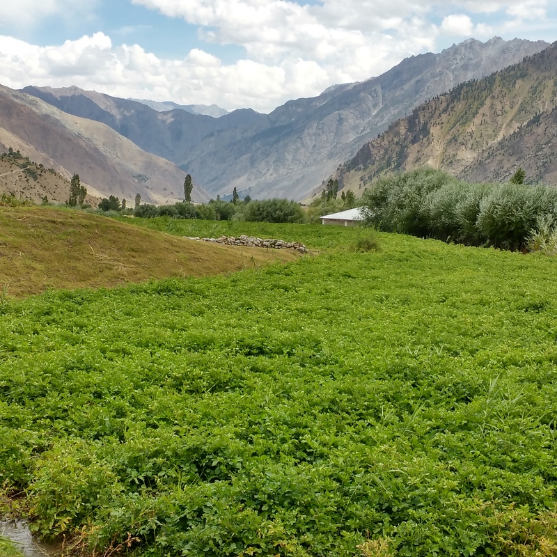 Tarshing Valley, Astore