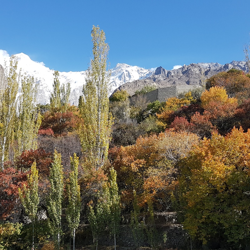 Autumn in Hunza